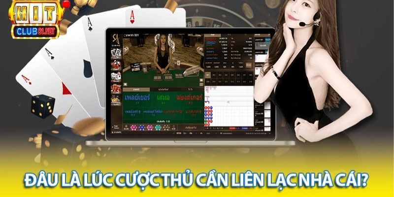 Liên hệ hitcub cần thực hiện thời điểm nào?