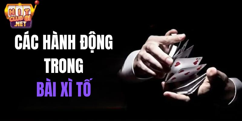 Luật Chơi Xì Tố – Hướng Dẫn Cách Chơi Cụ Thể Cho Tân Thủ Dealer sẽ lần lượt chia các quân bài chung